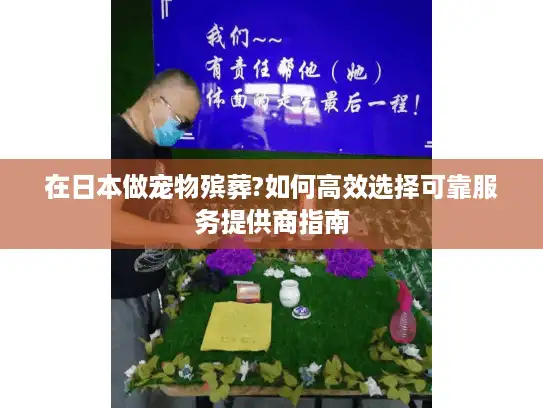在日本做宠物殡葬?如何高效选择可靠服务提供商指南
