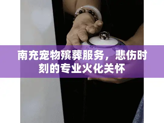 南充宠物殡葬服务，悲伤时刻的专业火化关怀