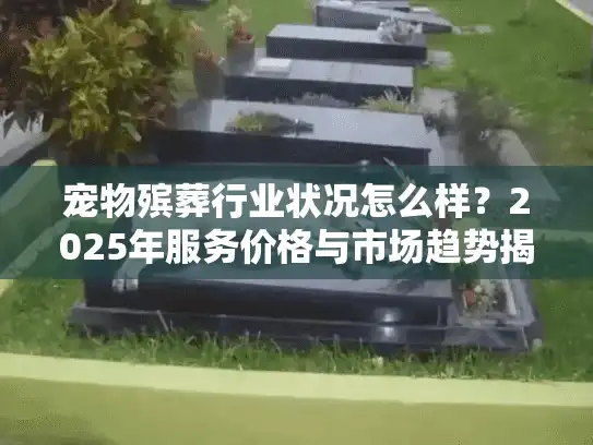 宠物殡葬行业状况怎么样？2025年服务价格与市场趋势揭秘