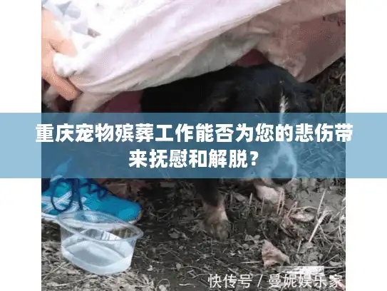 重庆宠物殡葬工作能否为您的悲伤带来抚慰和解脱？