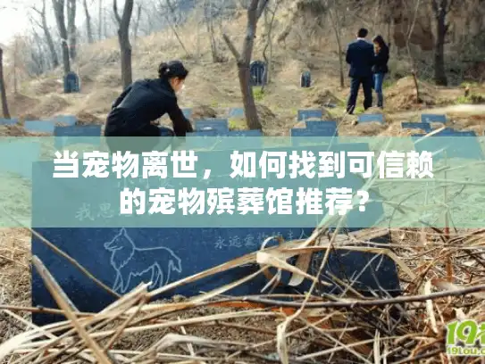 当宠物离世，如何找到可信赖的宠物殡葬馆推荐？