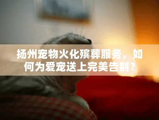 扬州宠物火化殡葬服务，如何为爱宠送上完美告别？