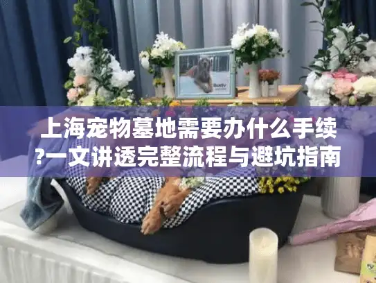 上海宠物墓地需要办什么手续?一文讲透完整流程与避坑指南