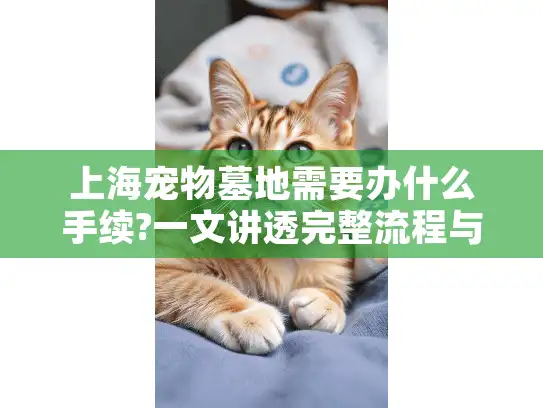 上海宠物墓地需要办什么手续?一文讲透完整流程与避坑指南