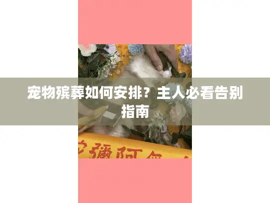 宠物殡葬如何安排？主人必看告别指南