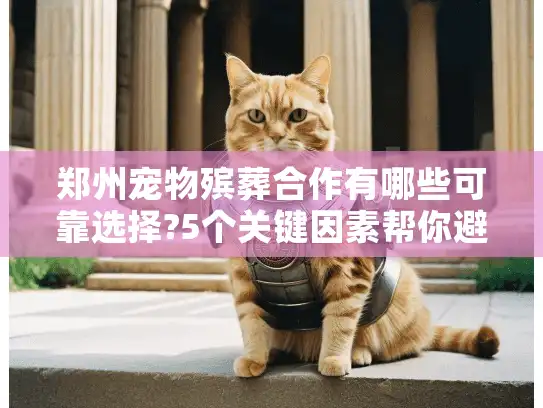 郑州宠物殡葬合作有哪些可靠选择?5个关键因素帮你避坑