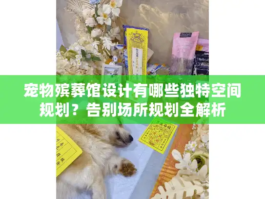 宠物殡葬馆设计有哪些独特空间规划？告别场所规划全解析