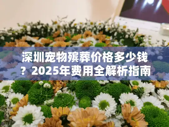深圳宠物殡葬价格多少钱？2025年费用全解析指南