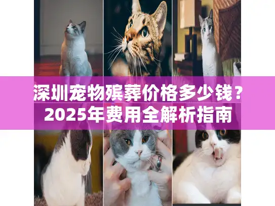 深圳宠物殡葬价格多少钱？2025年费用全解析指南