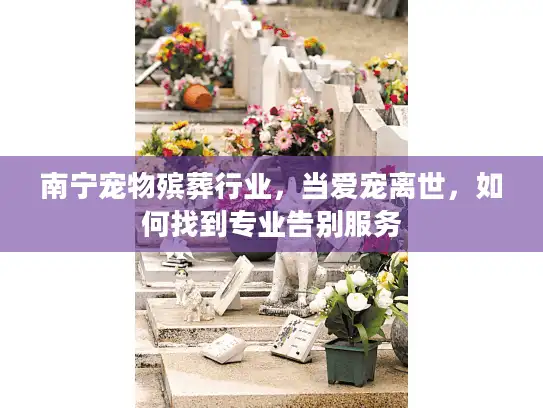 南宁宠物殡葬行业，当爱宠离世，如何找到专业告别服务