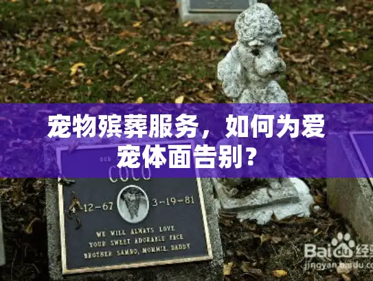 宠物殡葬服务，如何为爱宠体面告别？