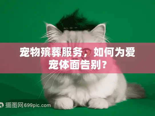 宠物殡葬服务，如何为爱宠体面告别？