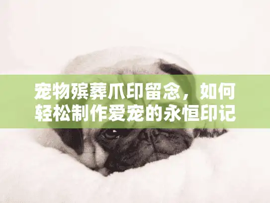 宠物殡葬爪印留念，如何轻松制作爱宠的永恒印记？