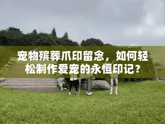 宠物殡葬爪印留念，如何轻松制作爱宠的永恒印记？
