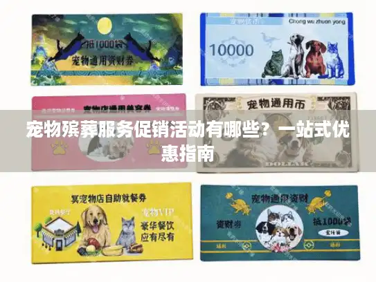 宠物殡葬服务促销活动有哪些？一站式优惠指南