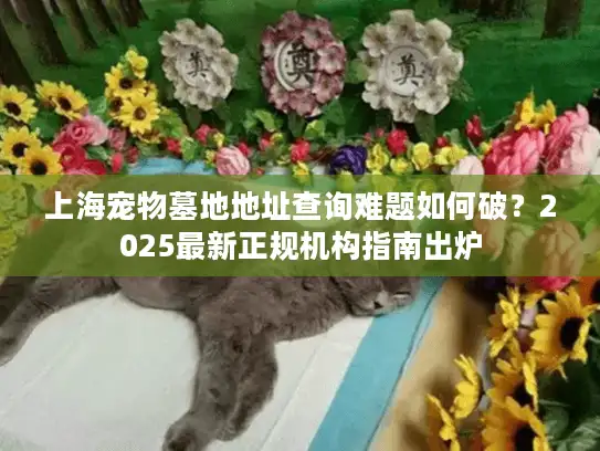 上海宠物墓地地址查询难题如何破？2025最新正规机构指南出炉