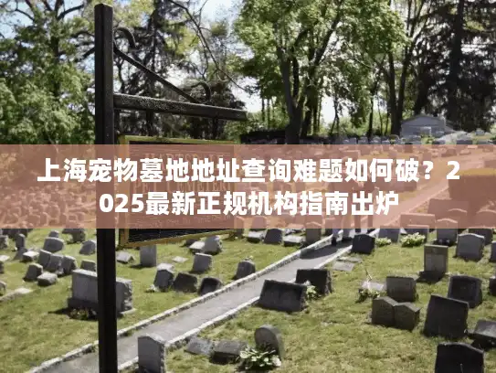 上海宠物墓地地址查询难题如何破？2025最新正规机构指南出炉