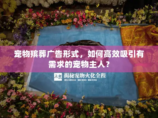 宠物殡葬广告形式，如何高效吸引有需求的宠物主人？