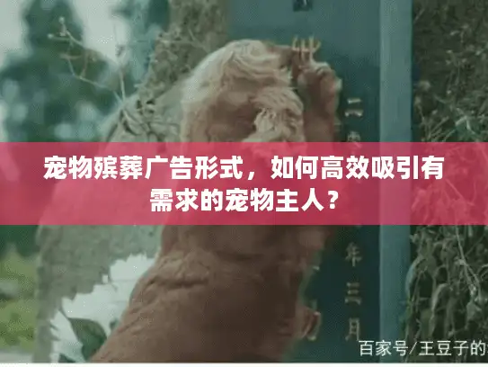 宠物殡葬广告形式，如何高效吸引有需求的宠物主人？