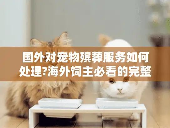 国外对宠物殡葬服务如何处理?海外饲主必看的完整指南