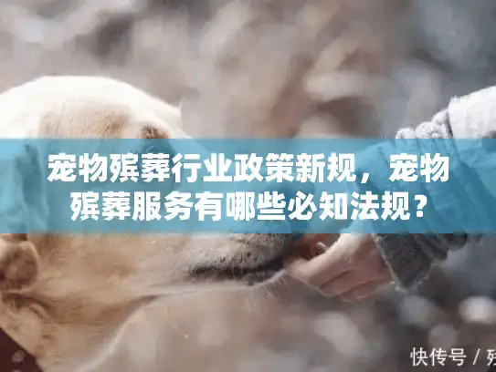 宠物殡葬行业政策新规，宠物殡葬服务有哪些必知法规？