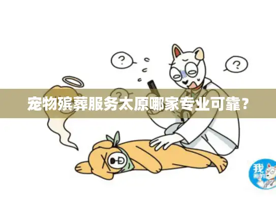 宠物殡葬服务太原哪家专业可靠？