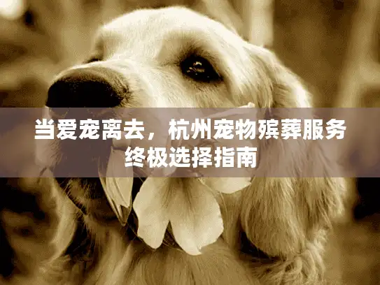 当爱宠离去，杭州宠物殡葬服务终极选择指南