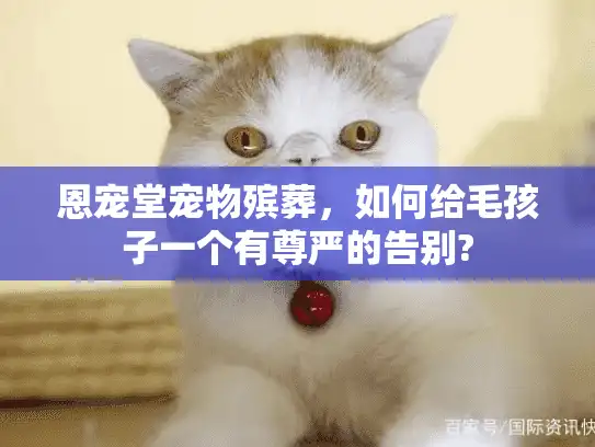 恩宠堂宠物殡葬，如何给毛孩子一个有尊严的告别?