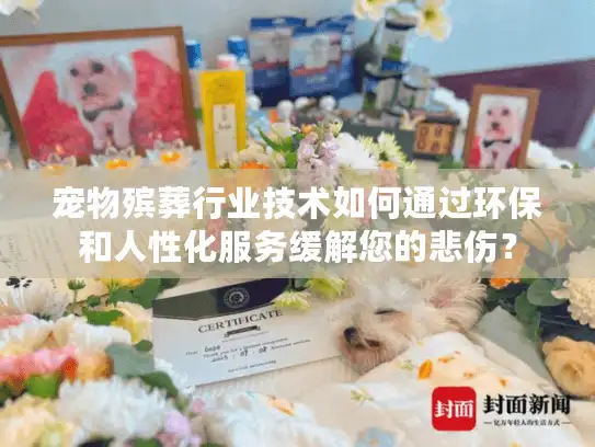 宠物殡葬行业技术如何通过环保和人性化服务缓解您的悲伤？
