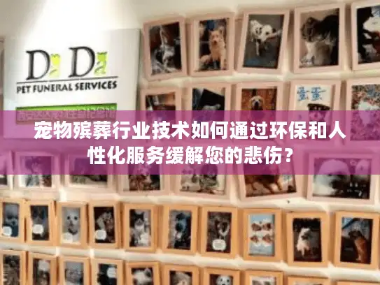 宠物殡葬行业技术如何通过环保和人性化服务缓解您的悲伤？
