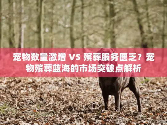 宠物数量激增 VS 殡葬服务匮乏？宠物殡葬蓝海的市场突破点解析