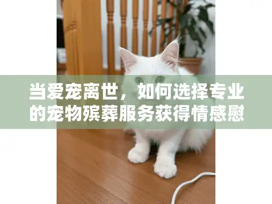 当爱宠离世，如何选择专业的宠物殡葬服务获得情感慰藉？