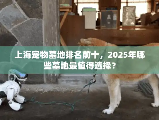 上海宠物墓地排名前十，2025年哪些墓地最值得选择？