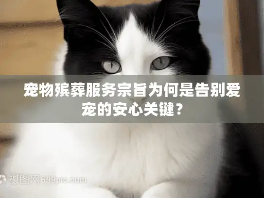 宠物殡葬服务宗旨为何是告别爱宠的安心关键？