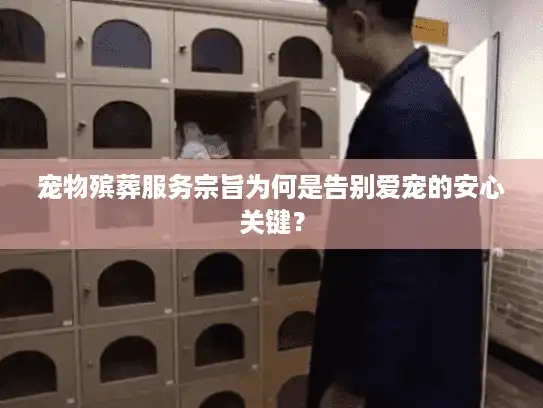 宠物殡葬服务宗旨为何是告别爱宠的安心关键？