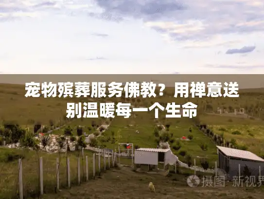 宠物殡葬服务佛教？用禅意送别温暖每一个生命