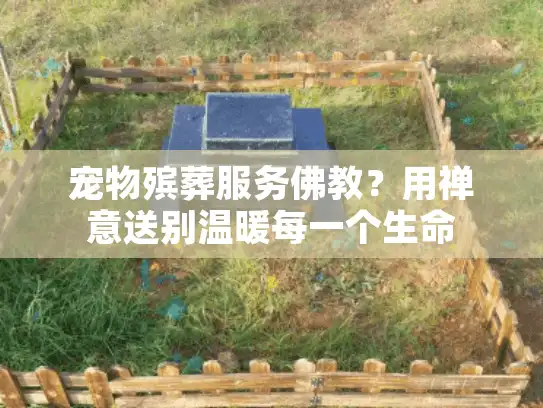 宠物殡葬服务佛教？用禅意送别温暖每一个生命