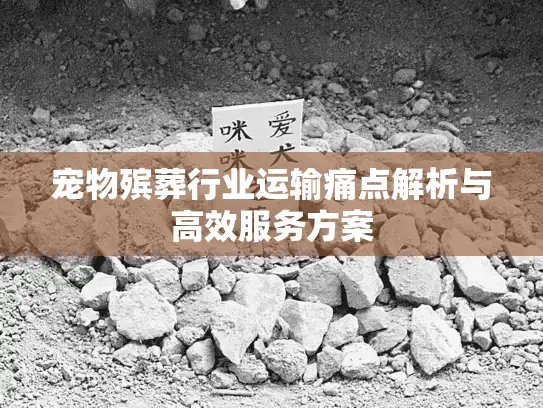 宠物殡葬行业运输痛点解析与高效服务方案