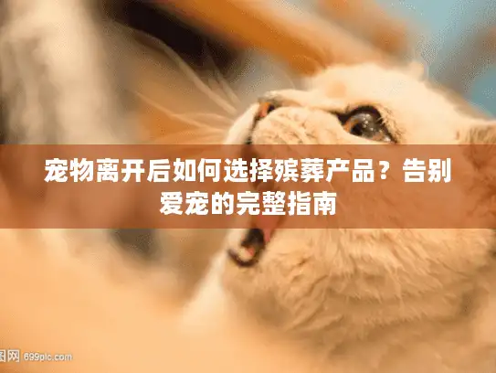 宠物离开后如何选择殡葬产品？告别爱宠的完整指南