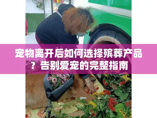 宠物离开后如何选择殡葬产品？告别爱宠的完整指南