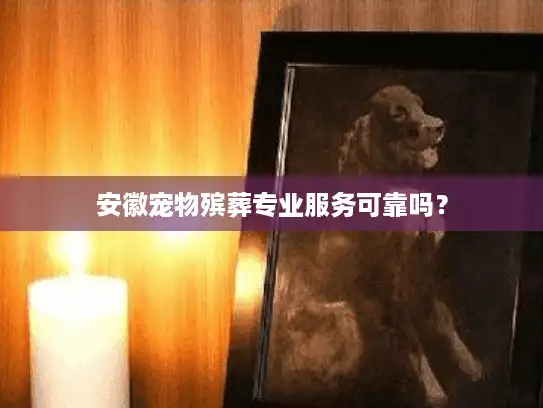 安徽宠物殡葬专业服务可靠吗？