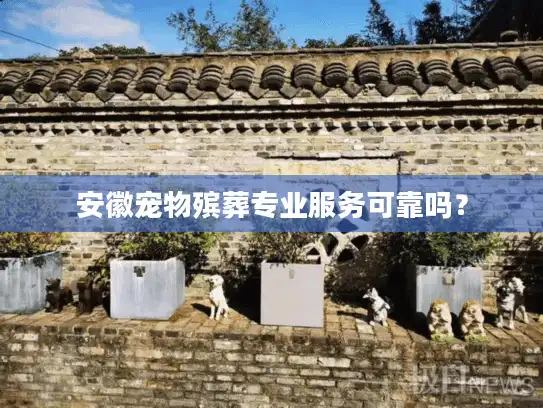 安徽宠物殡葬专业服务可靠吗？