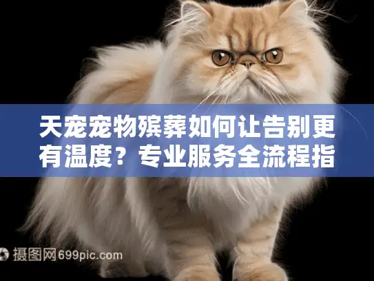 天宠宠物殡葬如何让告别更有温度？专业服务全流程指南