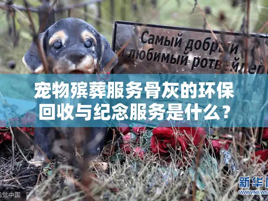 宠物殡葬服务骨灰的环保回收与纪念服务是什么？