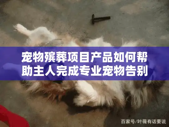 宠物殡葬项目产品如何帮助主人完成专业宠物告别仪式？