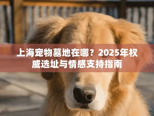 上海宠物墓地在哪？2025年权威选址与情感支持指南