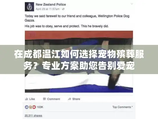 在成都温江如何选择宠物殡葬服务？专业方案助您告别爱宠