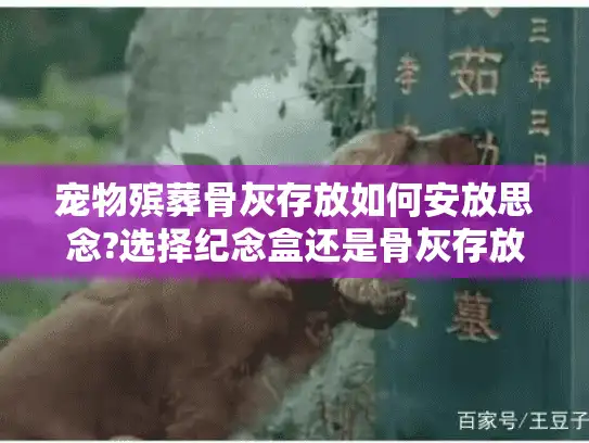 宠物殡葬骨灰存放如何安放思念?选择纪念盒还是骨灰存放馆服务?