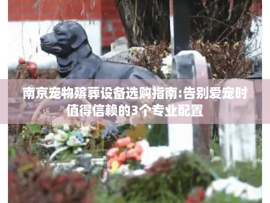 南京宠物殡葬设备选购指南:告别爱宠时值得信赖的3个专业配置