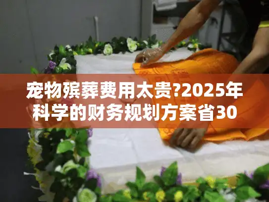 宠物殡葬费用太贵?2025年科学的财务规划方案省30%开支